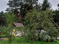 Продажа садового участка: г. Первоуральск, СНТ Коллективный сад №22, уч. 57 (городской округ Первоуральск) - Фото 8