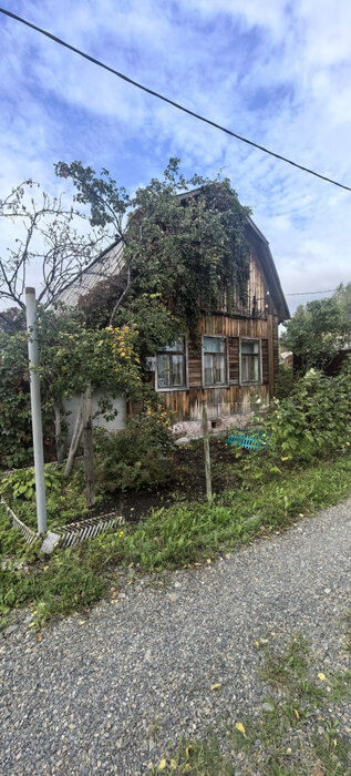 Екатеринбург, СТ Управление Коммунальных Предприятий, уч. 157 - фото сада (2)