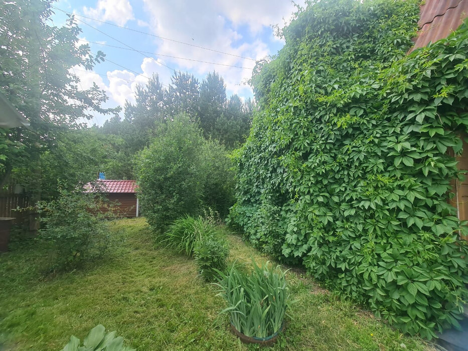 г. Сысерть, к/с Ключи (городской округ Сысертский) - фото сада (4)