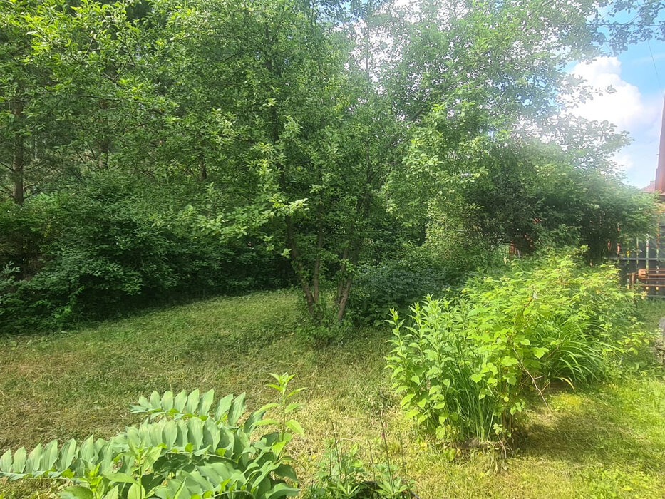 г. Сысерть, к/с Ключи (городской округ Сысертский) - фото сада (7)