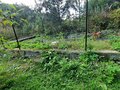 Продажа садового участка: п. Канал, КС Аметист (городской округ Первоуральск) - Фото 4
