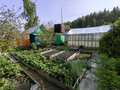 Продажа садового участка: Екатеринбург, к/с Ручеек - Фото 5