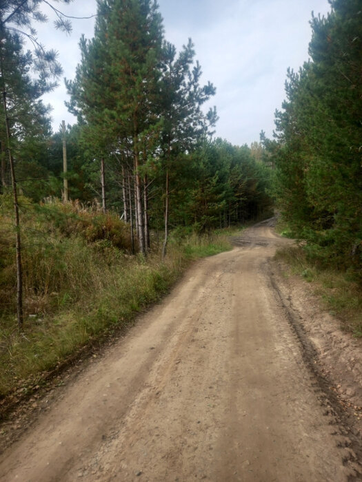 с. Черноусово, ул. Лесная, 10 (городской округ Белоярский) - фото земельного участка (1)