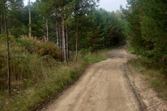 с. Черноусово, ул. Лесная, 10 (городской округ Белоярский) - фото земельного участка
