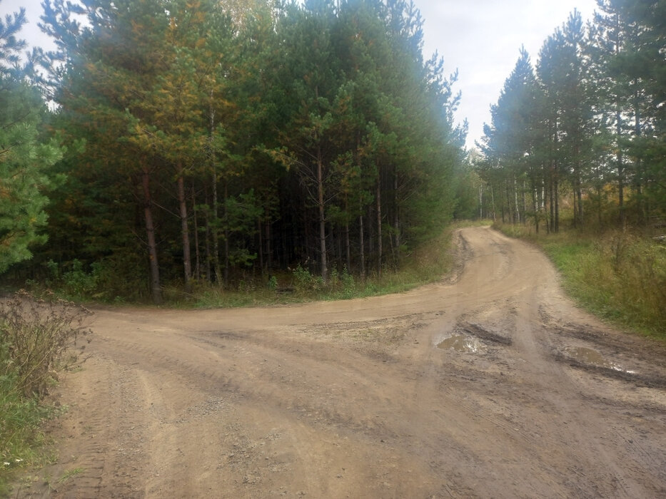 с. Черноусово, ул. Лесная, 10 (городской округ Белоярский) - фото земельного участка (3)