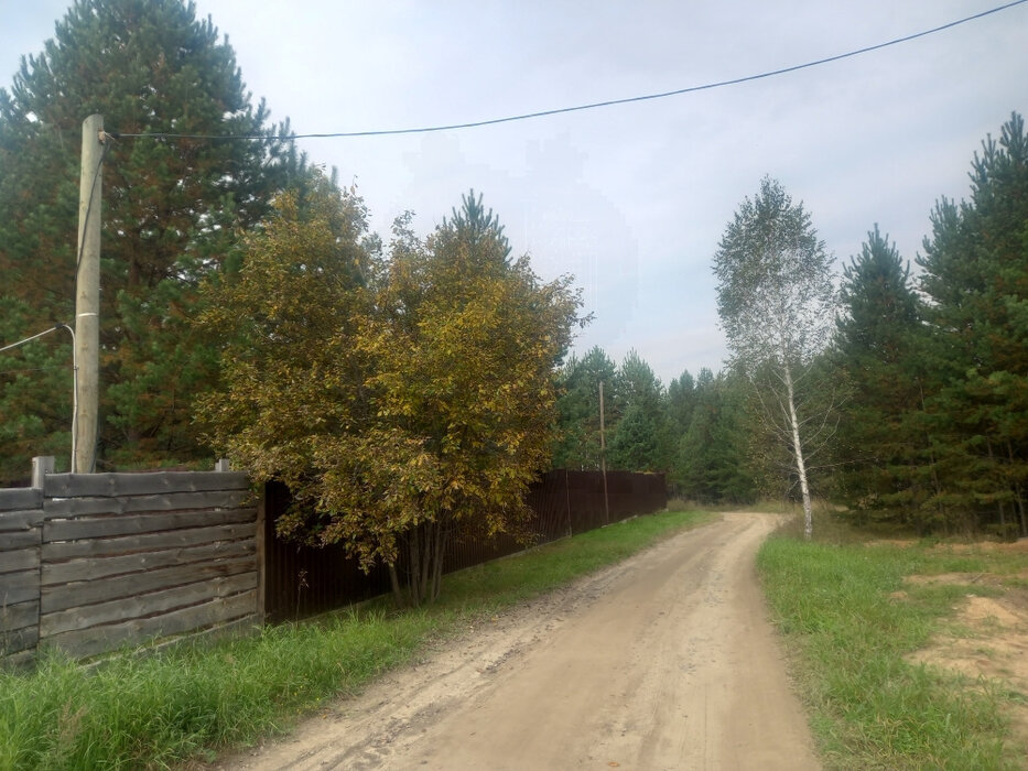 с. Черноусово, ул. Лесная, 10 (городской округ Белоярский) - фото земельного участка (4)