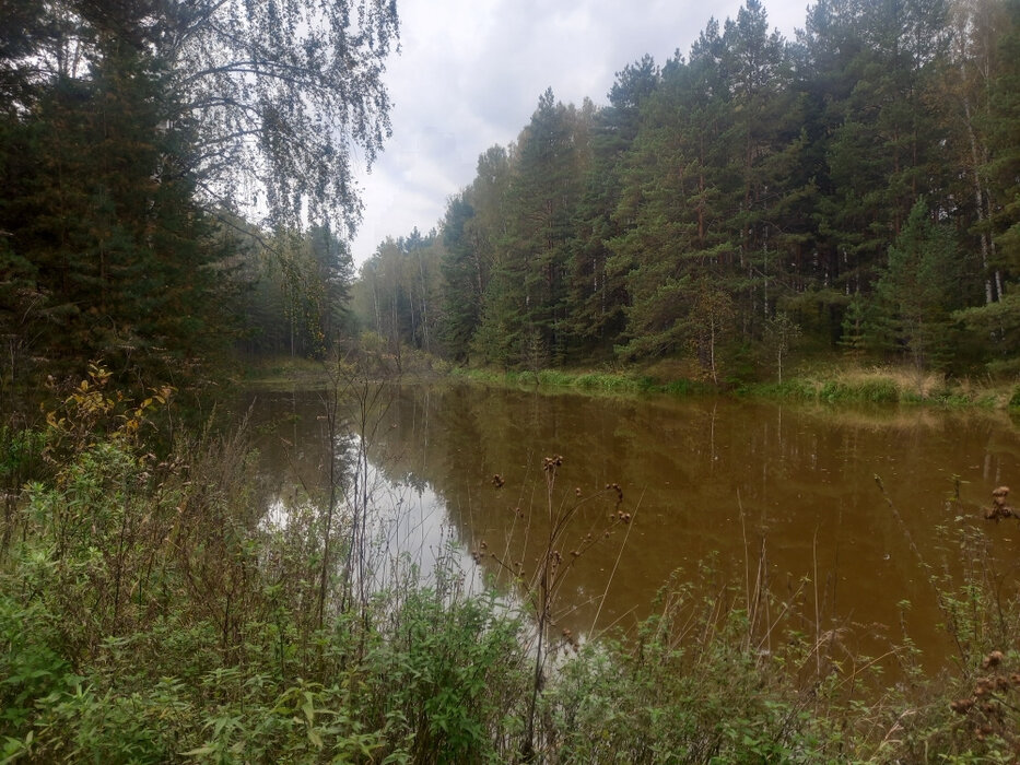 с. Черноусово, ул. Лесная, 10 (городской округ Белоярский) - фото земельного участка (5)
