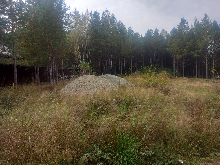 с. Черноусово, ул. Лесная, 10 (городской округ Белоярский) - фото земельного участка (7)