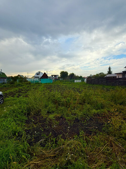 п. Большой Исток, к/с Старт (городской округ Сысертский) - фото сада (4)