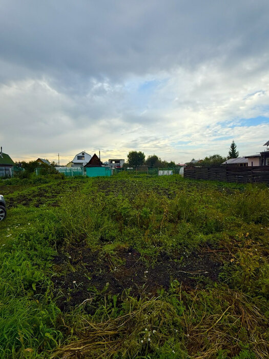 п. Большой Исток, к/с Старт (городской округ Сысертский) - фото сада (6)