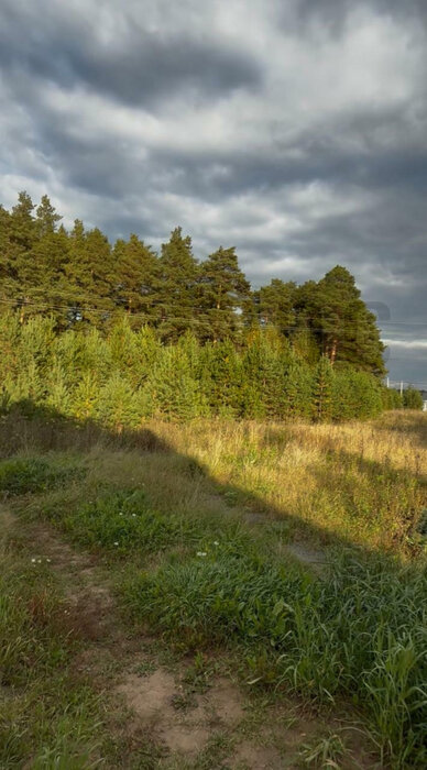 к.п. Дарвин, ул. Прогрессивная,   (городской округ Белоярский, п. Рассоха) - фото дома (3)