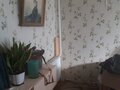 Продажа квартиры: г. Первоуральск, ул. Ватутина, 77 (городской округ Первоуральск) - Фото 5