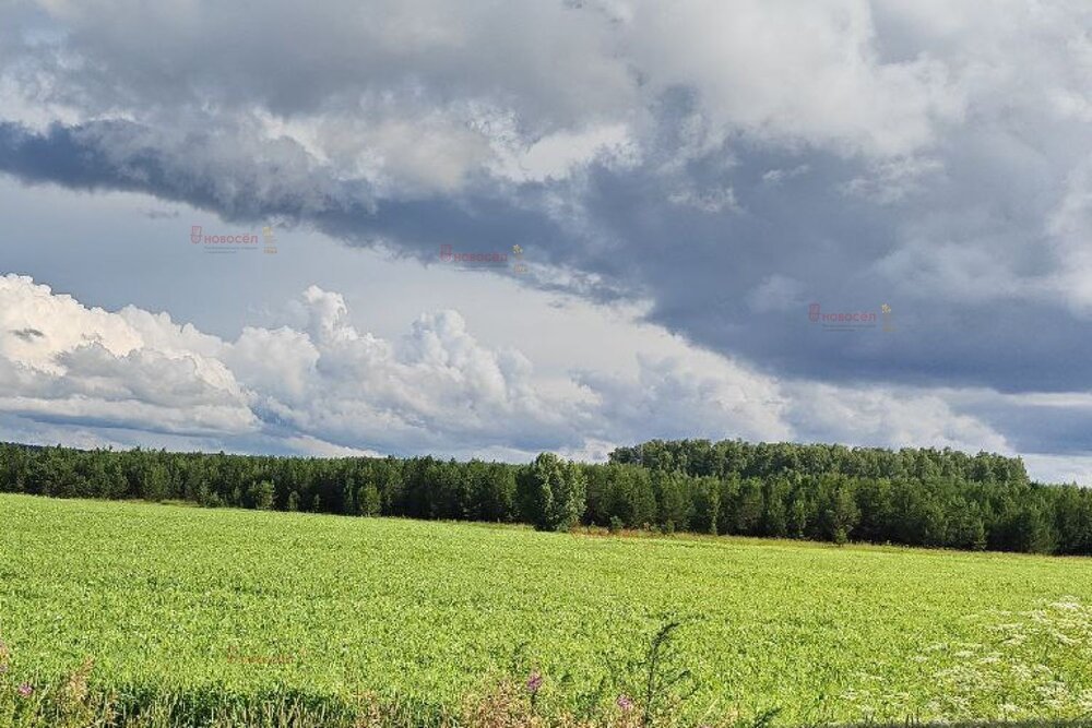 п. Растущий (городской округ Белоярский) - фото земельного участка (5)