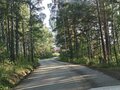 Продажа земельного участка коммерческого назначения: п. Растущий (городской округ Белоярский) - Фото 5