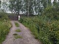 Продажа садового участка: п. Монетный, Коллективный сад №20 (городской округ Березовский) - Фото 6