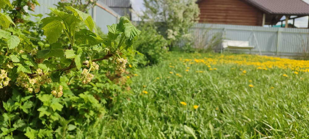 ДНП Морозовские дачи, ул. Морозова, 4 (городской округ Полевской, с. Курганово) - фото земельного участка (3)