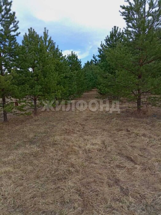 г. Нижняя Салда, ул. Зеленый Мыс (городской округ Нижняя Салда) - фото земельного участка (1)