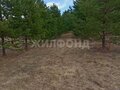Продажа земельного участка: г. Нижняя Салда, ул. Зеленый Мыс (городской округ Нижняя Салда) - Фото 1