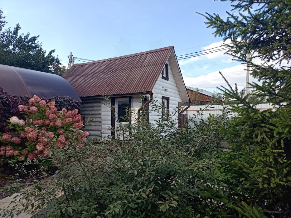Екатеринбург, снт черемушка, уч. 42 (Кольцово) - фото сада (3)