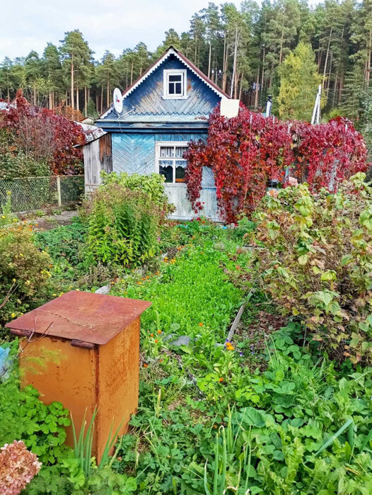 г. Березовский, Коллективный сад №43 уч.42, ул. Коллективный сад №43 уч.42 (городской округ Березовский) - фото сада (12)