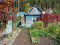 Продажа садового участка: г. Березовский, Коллективный сад №43 уч.42 (городской округ Березовский) - Фото 1