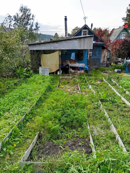 г. Березовский, Коллективный сад №43 уч.42 (городской округ Березовский) - фото сада (3)