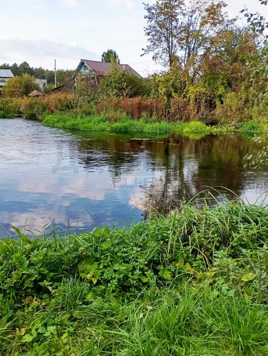 г. Березовский, Коллективный сад №43 уч.42 (городской округ Березовский) - фото сада (4)