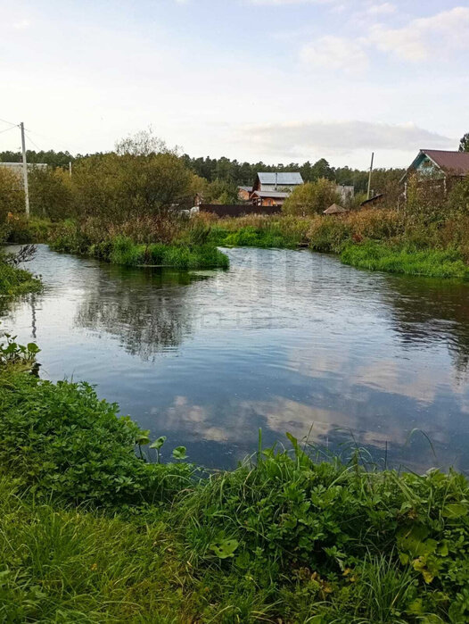 г. Березовский, Коллективный сад №43 уч.42 (городской округ Березовский) - фото сада (7)