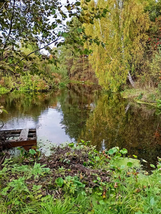 г. Березовский, Коллективный сад №43 уч.42 (городской округ Березовский) - фото сада (8)