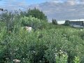 Продажа садового участка: п. Большой Исток, к/с Вишенка, ул. №64 (городской округ Сысертский) - Фото 1