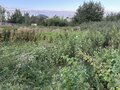 Продажа садового участка: п. Большой Исток, к/с Вишенка, ул. №64 (городской округ Сысертский) - Фото 3