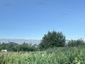 Продажа садового участка: п. Большой Исток, к/с Вишенка, ул. №64 (городской округ Сысертский) - Фото 5