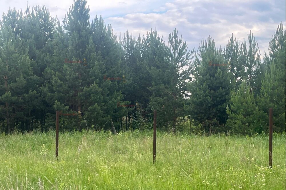 с. Сосновское, ул. Новая (городской округ Город Каменск-Уральский) - фото земельного участка (3)