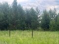 Продажа земельного участка: с. Сосновское, ул. Новая (городской округ Город Каменск-Уральский) - Фото 3