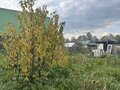 Продажа садового участка: п. Решеты, СНТ Звезда-1 (городской округ Первоуральск) - Фото 5