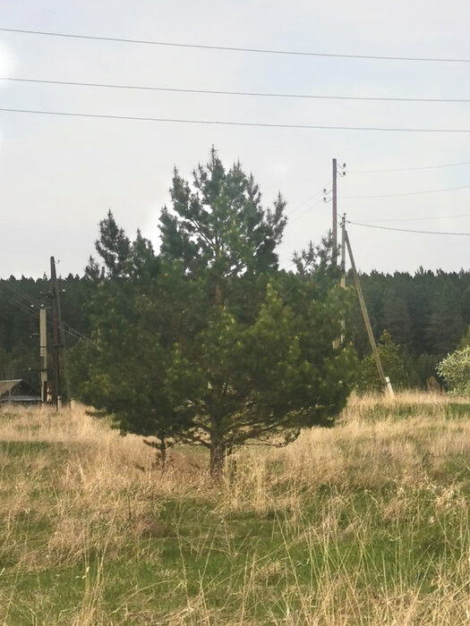 д. Давыдова, ул. Ленина (городской округ Каменский) - фото земельного участка (2)