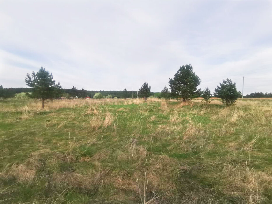д. Давыдова, ул. Ленина (городской округ Каменский) - фото земельного участка (3)
