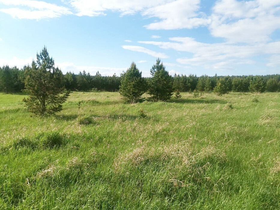 с. Исетское, ул. Цветочная,   (городской округ Каменский) - фото земельного участка (1)