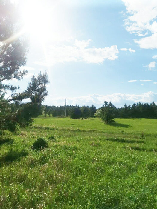 с. Исетское, ул. Цветочная,   (городской округ Каменский) - фото земельного участка (3)