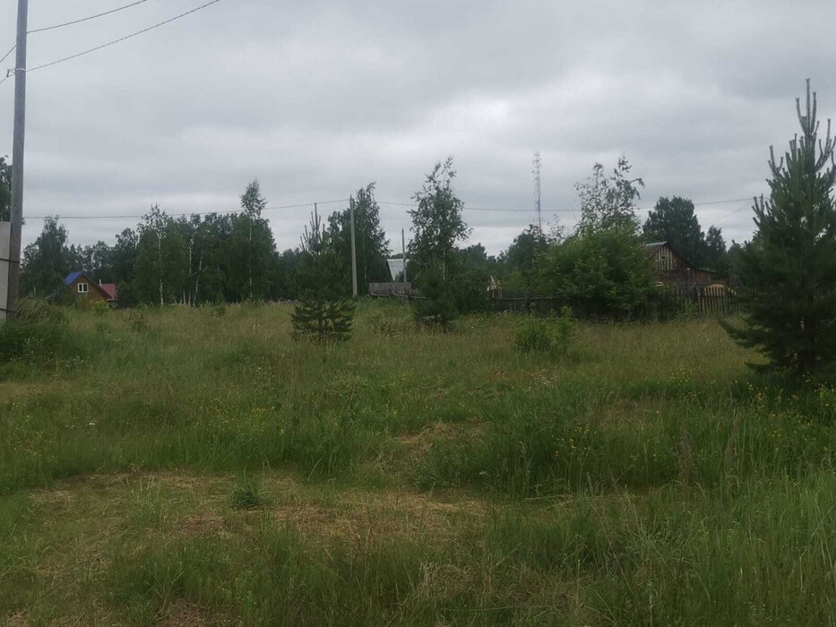 п. Костоусово, ул. Березовая Роща (городской округ Режевской) - фото земельного участка (2)