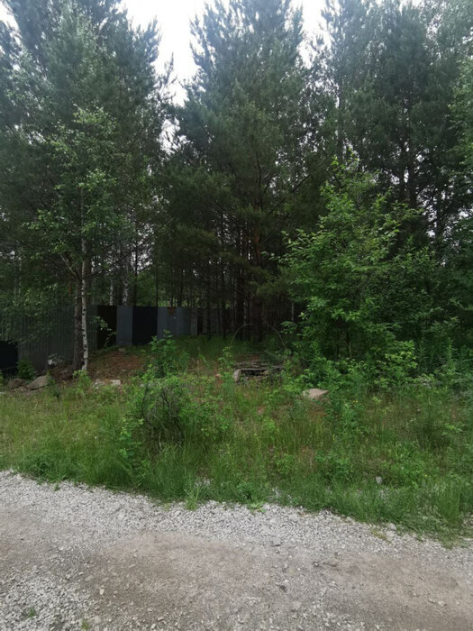 д. Крутиха, ул. Дачная, 4б (городской округ Режевской) - фото земельного участка (4)