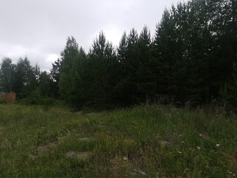 д. Крутиха, ул. Мира, 3а (городской округ Режевской) - фото земельного участка (1)