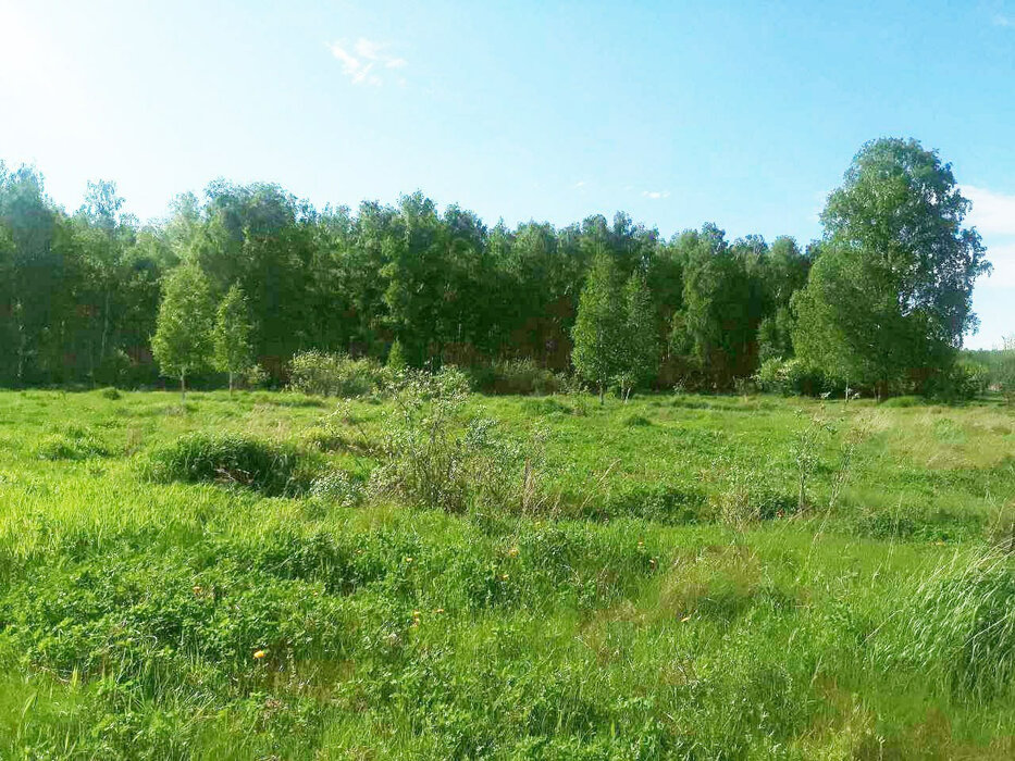 д. Малая Белоносова, ул. Гагарина, 40А (городской округ Город Каменск-Уральский) - фото земельного участка (2)