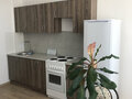Аренда квартиры: Екатеринбург, ул. Репина, 66 (Юго-Западный) - Фото 1