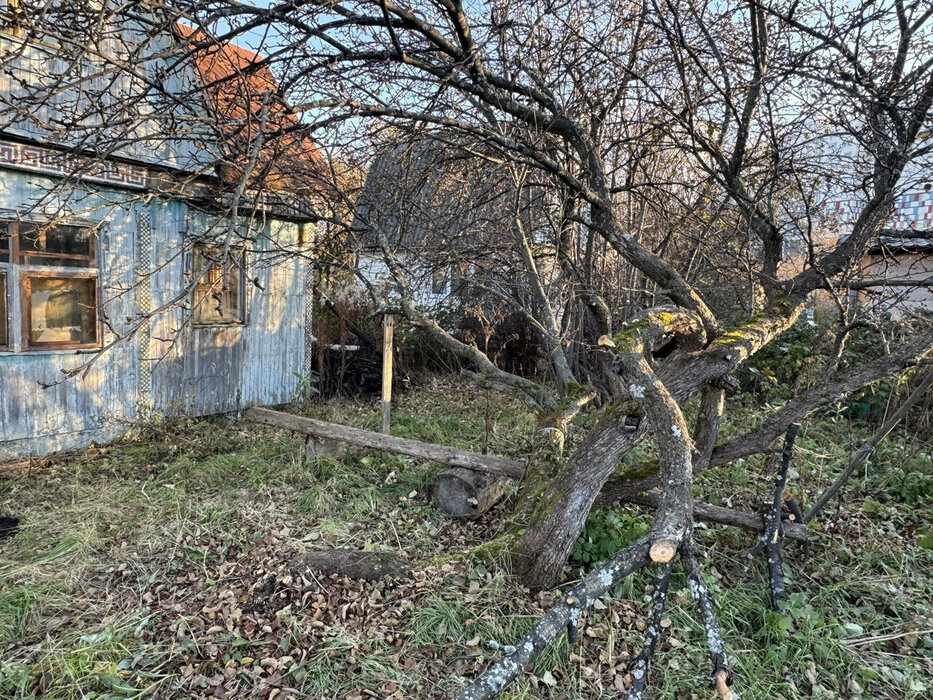 Екатеринбург, СТ Связист-1 (Широкая речка) - фото сада (6)