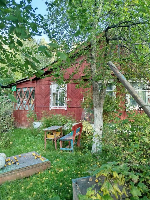г. Верхняя Пышма, СНТ №39 (городской округ Верхняя Пышма) - фото сада (1)