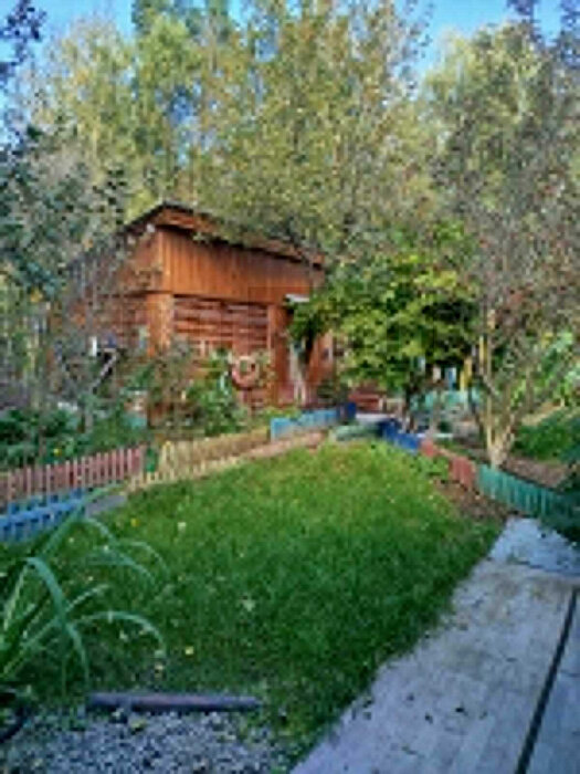 г. Верхняя Пышма, СНТ №39 (городской округ Верхняя Пышма) - фото сада (6)