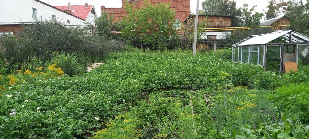Екатеринбург, ул. Демьяна Бедного, 35 (Уктус) - фото дома (4)