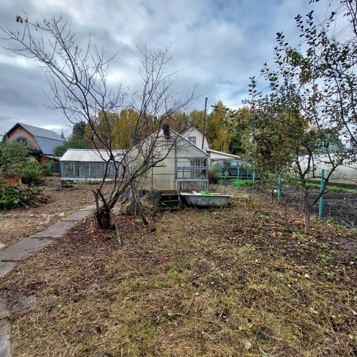 п. Колюткинский, снт. Березка-2 , уч. 47 (городской округ Белоярский) - фото сада (3)