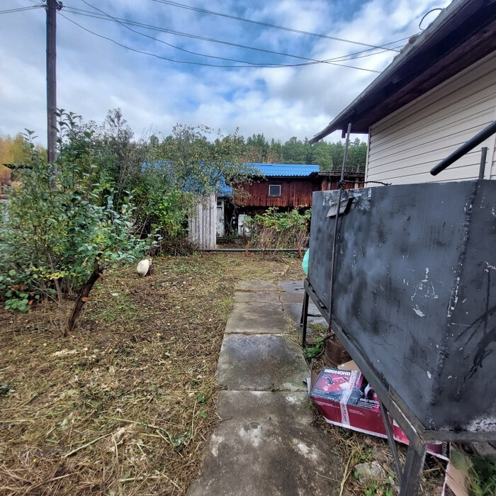 п. Колюткинский, снт. Березка-2 , уч. 47 (городской округ Белоярский) - фото сада (4)